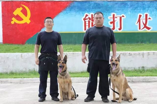如何利用智能计分提高篮球比赛中的决策能力_0